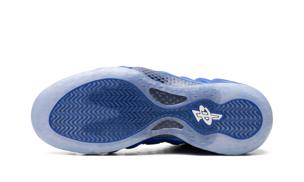 Air Foamposite One "Royal" FQ8181 511